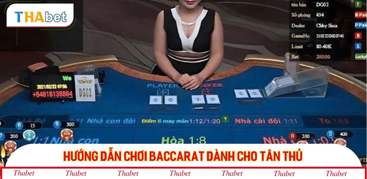 Hướng dẫn chơi Baccarat dành cho tân thủ nắm bắt chuẩn nhất